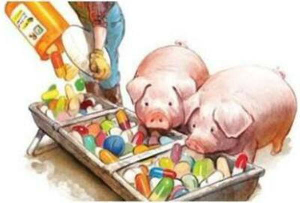 獸藥殘留的分類及獸藥殘留丝瓜视频污污污儀作用